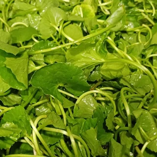 Bước 1
