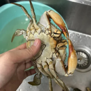 Bước 1