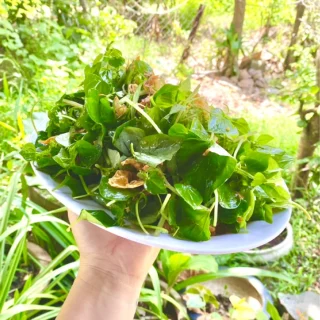 Bước 6