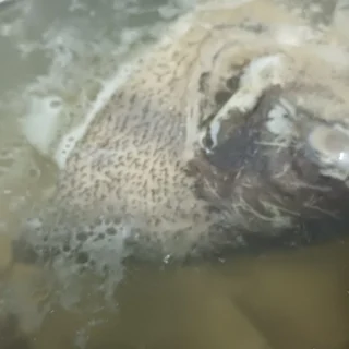 Bước 1