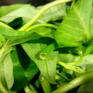 Bước 2