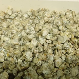 Bước 1