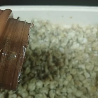 Bước 1